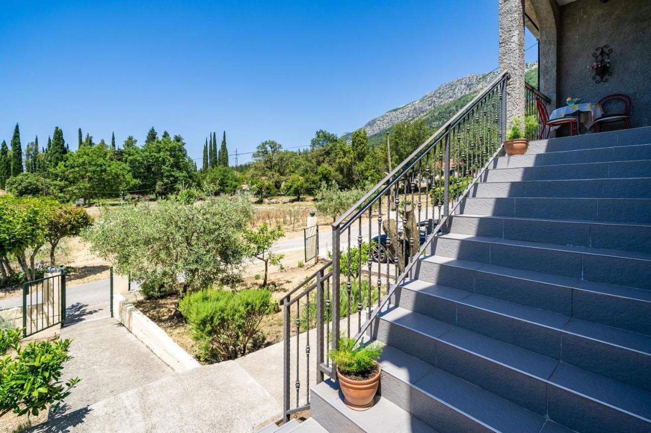 Apartment Laurel Leaf Lovorno