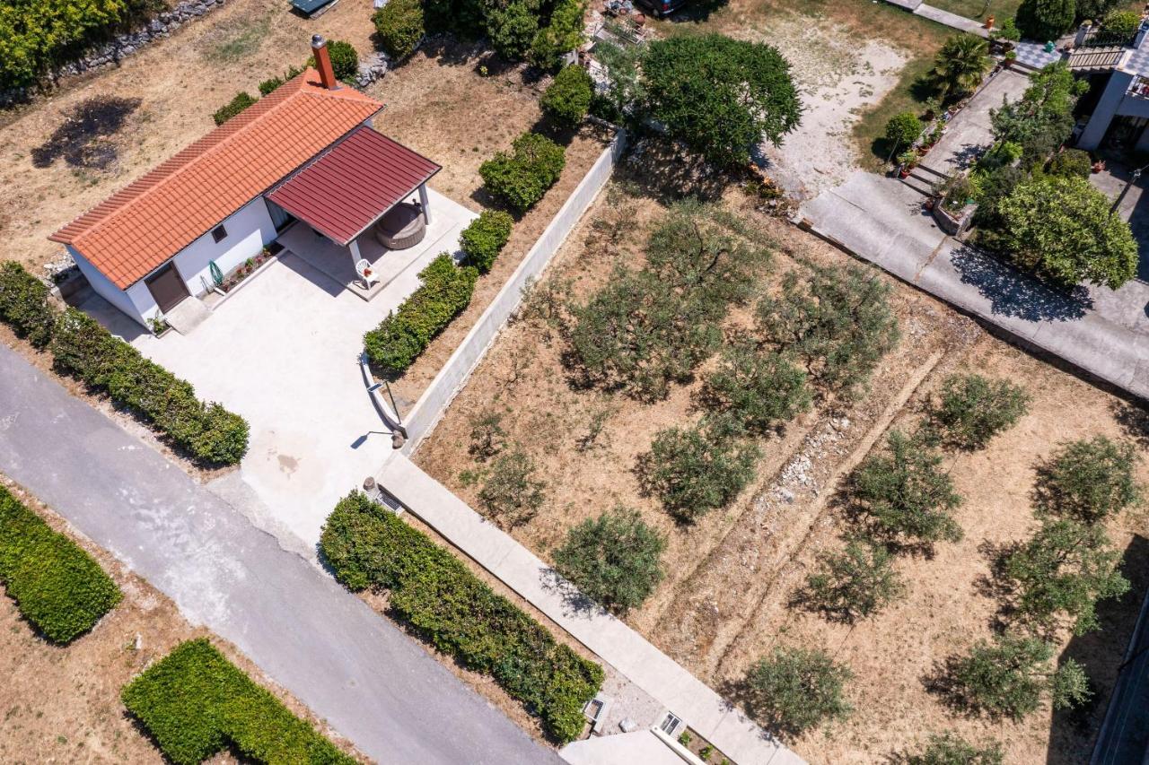 Apartment Laurel Leaf Lovorno